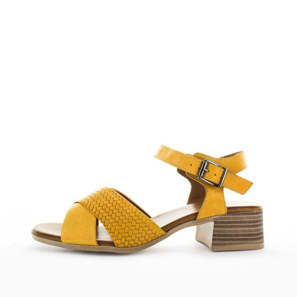 BONICA (8110051229919) (9044955594975)