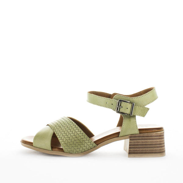 BONICA (8110051229919) (9044955627743)