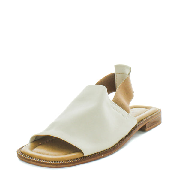 HAVE (8798036787423) (9068463849695)