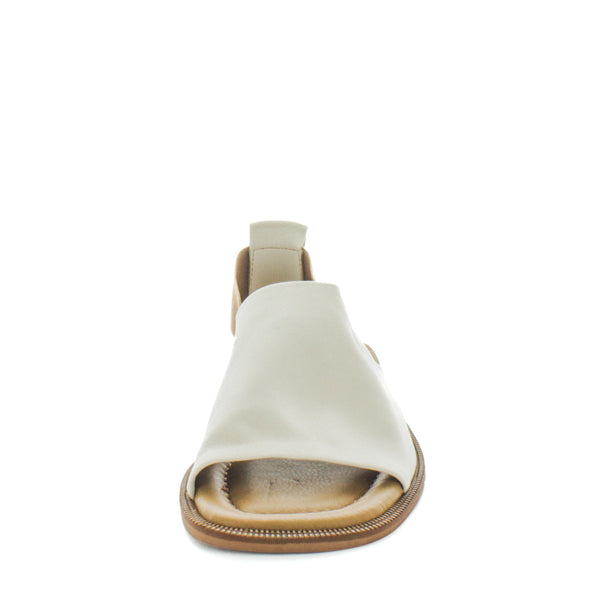 HAVE (8798036787423) (9068463849695)