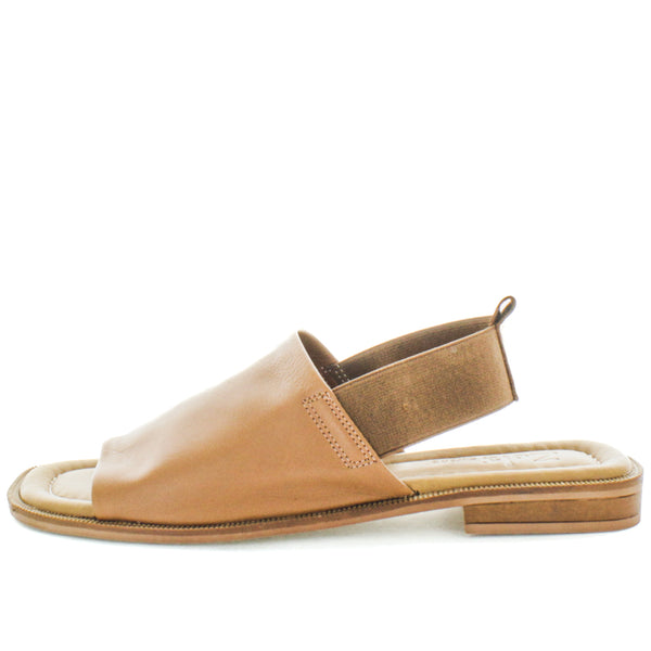 HAVE (8798036787423) (9068466143455)