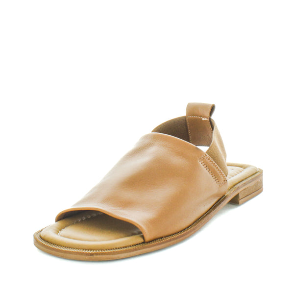 HAVE (8798036787423) (9068466143455)