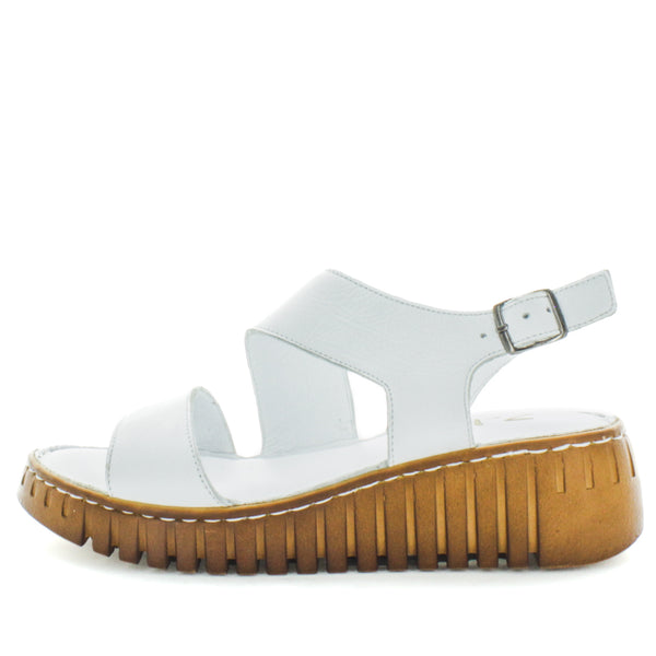 HAYAT (8798037082335) (9068464079071)