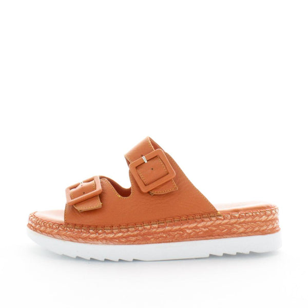 HESIKA (8119489233119) (9096577122527)