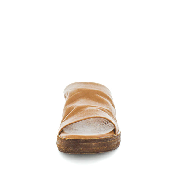 HOLLYN (8814791393503) (9115539341535)