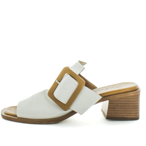 HILIS (8798036918495) (9115538981087)