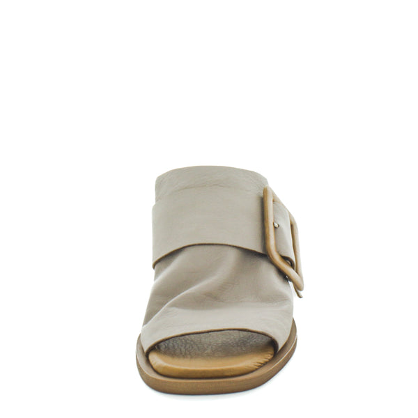 HILIS (8798036918495) (9115539013855)